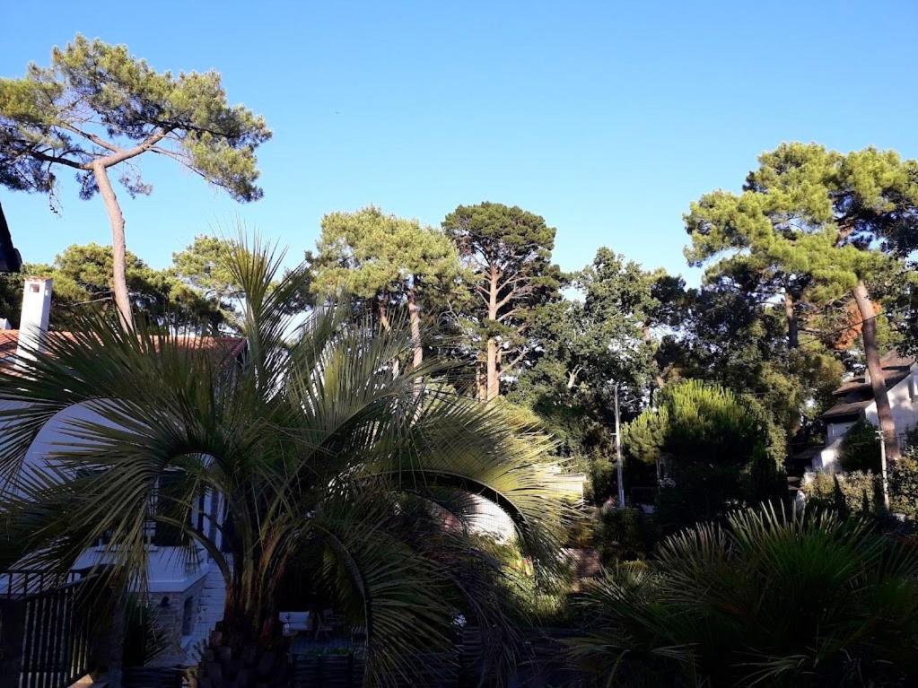 Belle De Dune La Baule Eksteriør billede
