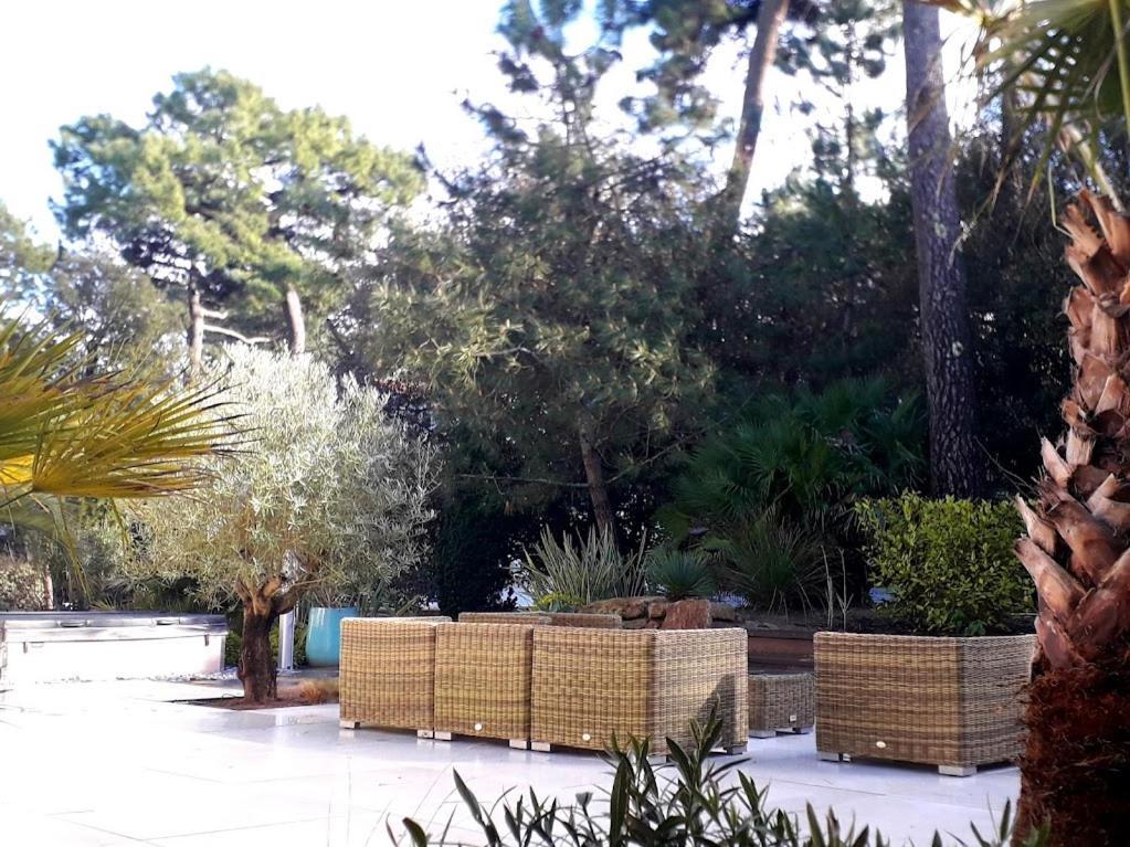 Belle De Dune La Baule Eksteriør billede